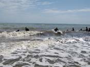 General Aquatics (Beach Unit) q