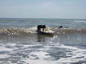General Aquatics (Beach Unit) r