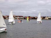 SACE Sailing e